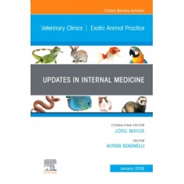 Updates in Internal...