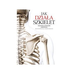 Jak działa szkielet