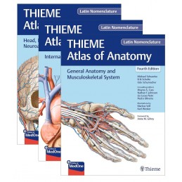 THIEME Atlas of Anatomy, Latin Nomenclature, Three Volume Set, Fourth Edition, Latin Nomenclature