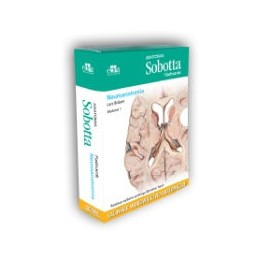 Anatomia Sobotta Flashcards...