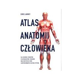 Atlas anatomii człowieka
