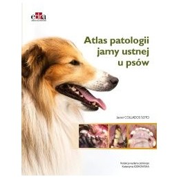 Atlas patologii jamy ustnej...