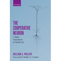 The Cooperative Neuron