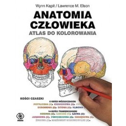 Anatomia człowieka - atlas...