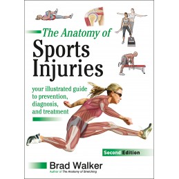 The Anatomy of Sports...