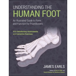 Understanding the Human...