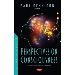 Perspectives on Consciousness