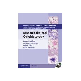 Musculoskeletal...