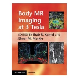Body MR Imaging at 3 Tesla