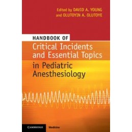 Handbook of Critical...