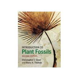 Introduction to Plant Fossils