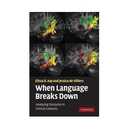 When Language Breaks Down:...