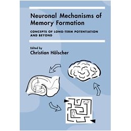 Neuronal Mechanisms of...