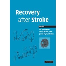 Recovery after Stroke