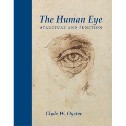 The Human Eye. Structure...
