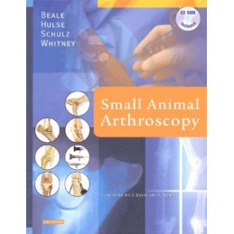 Small Animal Arthroscopy