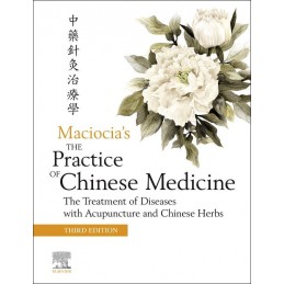 The Practice of Chinese...