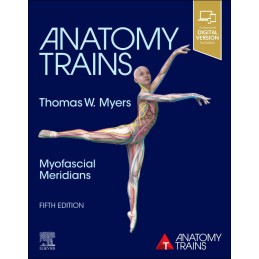 Anatomy Trains