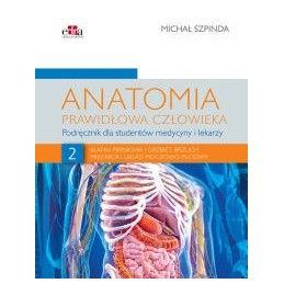 Anatomia prawidłowa...