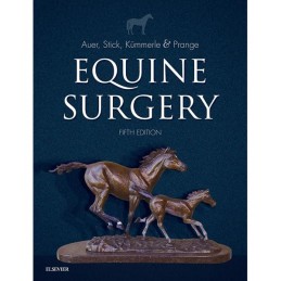 Equine Surgery