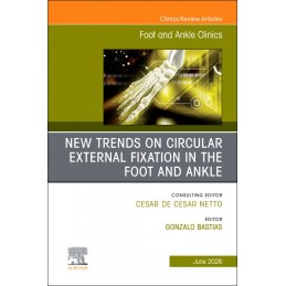 New Trends on Circular...