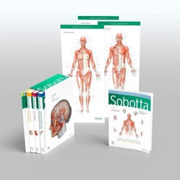 Sobotta Atlas of Anatomy,...