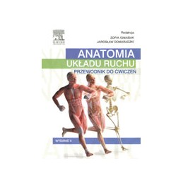 Anatomia układu ruchu -...