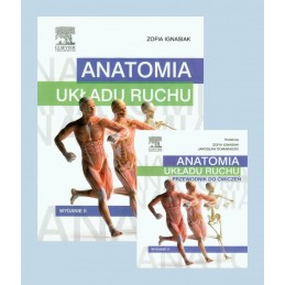 Anatomia układu ruchu +...