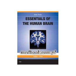 Essentials of the Human Brain