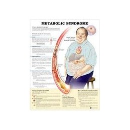 Metabolic Syndrome...