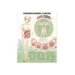 Understanding Cancer...