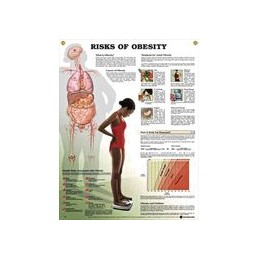Risks of Obesity Anatomical...