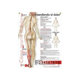 Understanding Pain Anatomical Chart in Spanish
