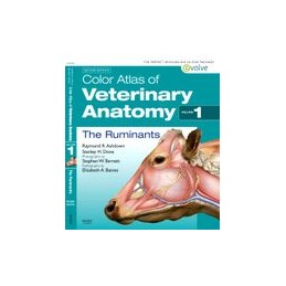 Color Atlas of Veterinary Anatomy, Volume 1, The Ruminants