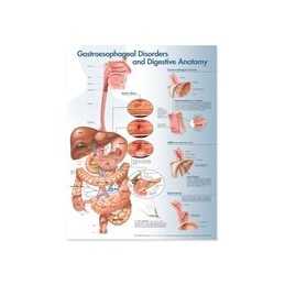 Gastroesophageal Disorders...
