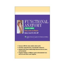 Functional Anatomy Flash Cards