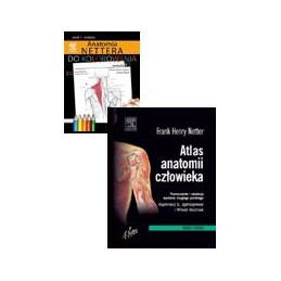 Atlas anatomii człowieka Nettera wyd. 2 (nazewnictwo łacińskie) + Anatomia Nettera do kolorowania