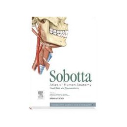 Sobotta Atlas of Human Anatomy, Vol. 3, 15th ed., Latin nomenclature
