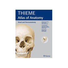 Head and Neuroanatomy (THIEME Atlas of Anatomy)