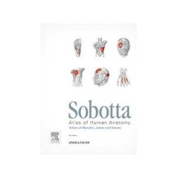 Sobotta Tables of Muscles,...