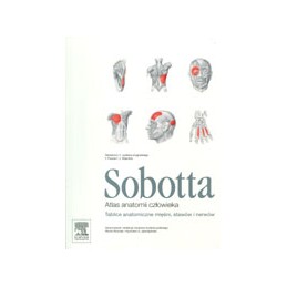 Atlas anatomii człowieka Sobotta - tablice anatomiczne mięśni, stawów i nerwów
