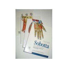 Atlas anatomii człowieka Sobotta tom 1-3 (komplet) + Tablice anatomiczne mięśni, stawów i nerwów