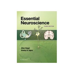 Essential Neuroscience