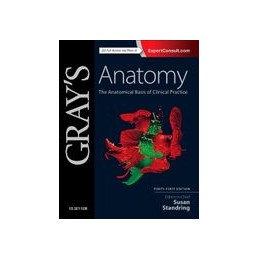 Gray's Anatomy