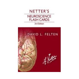 Netter's Neuroscience Flash Cards