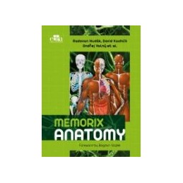 Memorix Anatomy