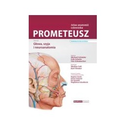 PROMETEUSZ Atlas anatomii człowieka Tom 3 - głowa, szyja i neuroanatomia