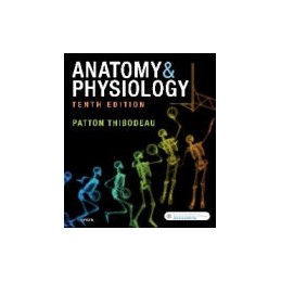 Anatomy & Physiology - Binder-Ready (includes A&P Online course)