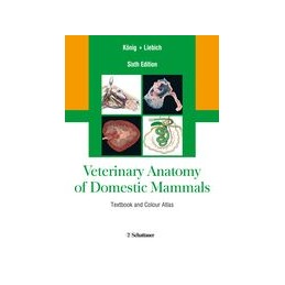 Veterinary Anatomy of Domestic Mammals: Textbook and Colour Atlas