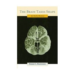 The Brain Takes Shape